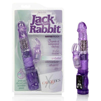 Petite Jack Rabbit - Purple